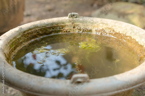 Fotografía dirty stagnant water and green algae in an old plastic bucket.