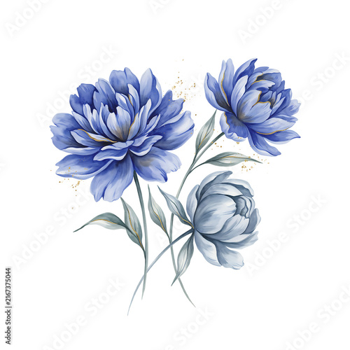 Three blue peony flowers with green leaves and gold accents isolated on a transparent background