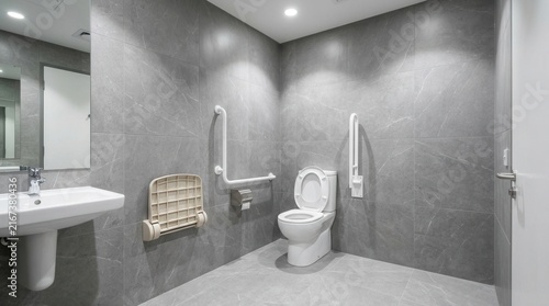 Gray tiles and grab bars in a modern accessible bathroom with large windows.
