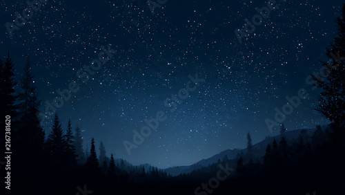 night sky with stars landscape