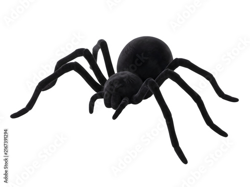 Black spider illustration for Halloween decor. Creepy realistic arachnid with fuzzy velvet texture. Dark insect element for spooky seasonal design. isolated on Transparent Background