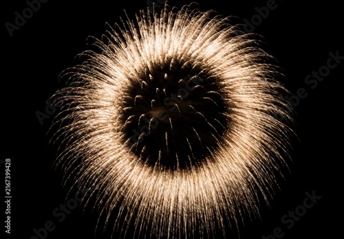 Golden Fireworks Explosion Bursting in Night Sky Background