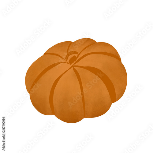orange rounded pumpkin isolated on white background