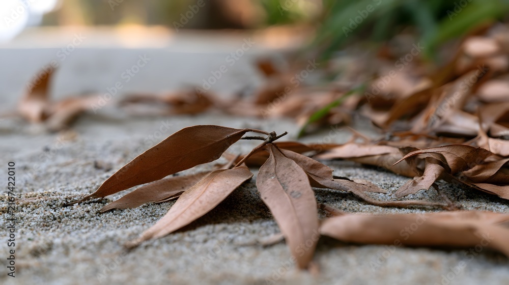 Fototapeta premium Dry brown leaves rest on textured sand with soft natural lighting and shallow depth of field