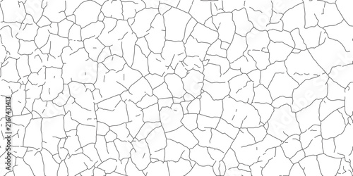 Abstract Craquelure Cracked Surface Line Art Texture Overlay