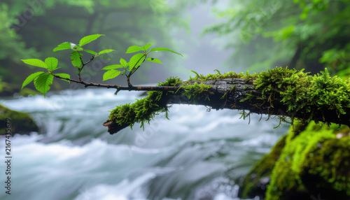 Green mossy branch over rushing river in lush forest landscape