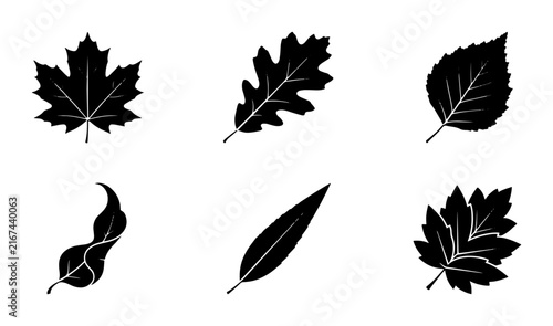 Bild auf Leinwand 70 Black Silhouette Leaf Icons Set, Autumn Foliage Vector Graphics, Nature Plant