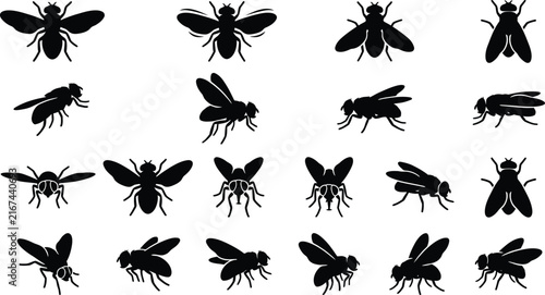 Obraz na plátně Set of black housefly silhouettes in various flying and resting poses isolated o