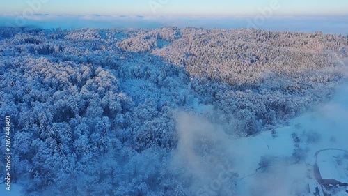 Drone View Over Serene Snowy Forest and Misty Valley in Winter