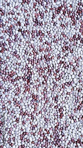 5K. Zoom in frame texture of Taiwanese washed pebble wall. Close up abstract pattern of white and terracotta brown rounded stone gravel.Deeply recessed gray cement mortar creates 3D depth and shadow.