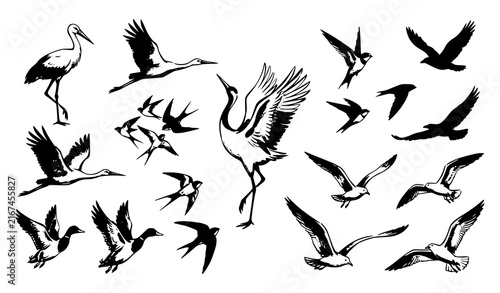 Flying Birds Silhouette and Brush Stroke Vector Icon Set Featuring Cranes, Herons, Seagulls, Ducks, Swallows, and Wild Avians in Migratory Flight Designs