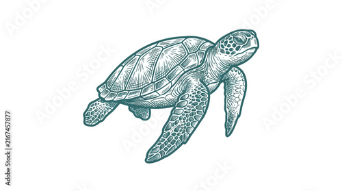 Detailed Vector Illustration of a Graceful Sea Turtle Swimming in Ocean Depths, Marine Wildlife Artwork