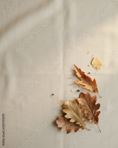 Fall Leaves on Linen, Warm Autumn Rustic Home Background