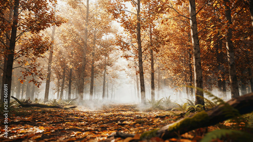 Fall Forest Landscape with Golden Leaves and Soft Sunlight