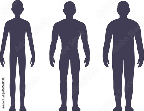 Men body types diagram with three somatotypes: Ectomorph (tall and skinny), Mesomorph (muscular) and Endomorph (fat and muscle). Vector silhouettes.