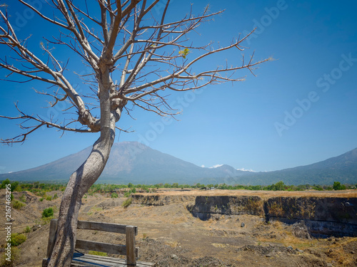 Foto Bare Tree and Wooden Bench with Mountain Background in Arid Landscape