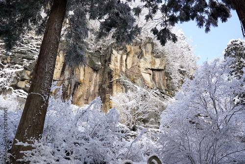 Fotografie 冬の雪景色の中にそびえ立つ雄大な断崖絶壁と、雪をまとった針葉樹や木々が織りなす静寂に包まれた日本の山岳風景。