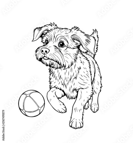 Charming black and white line art of cute terrier fluffy dog puppy playfully pouncing near toy ball line art for children's animal coloring pages.