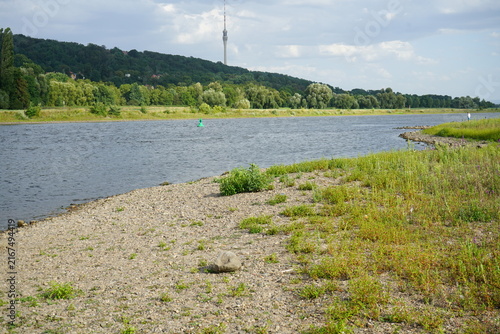 Die Elbe in Dresden mit niedrigem Wasserstand