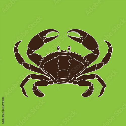 Brown Crab Illustration on Green Background