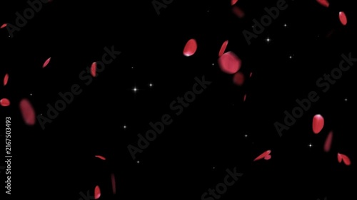 Red rose petals falling and swirling against a bright green screen background with blue glowing light effects with falling spinning video red particles animation floating