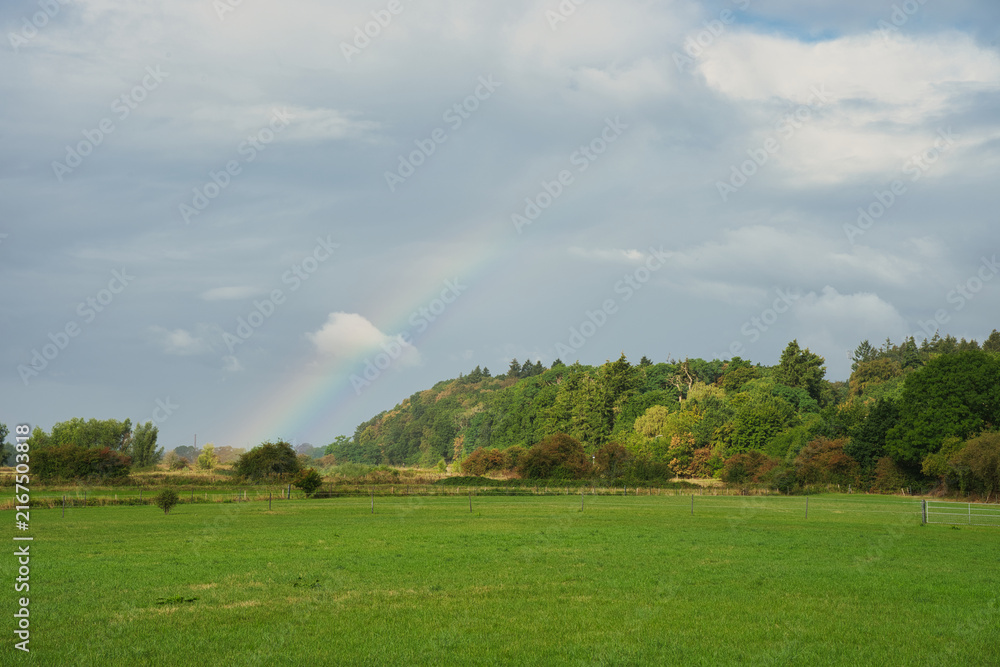 Fototapeta premium Vivid Rainbow Emerging Over Green Meadow and Forested Hillside Near Renkum