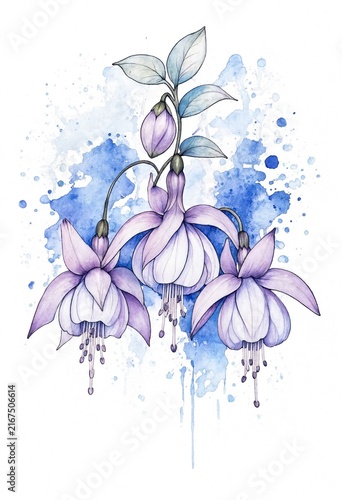 Watercolor Fuchsia Flowers with Blue Splash Background