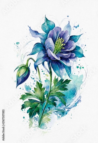 Watercolor Blue Columbine Flower Illustration