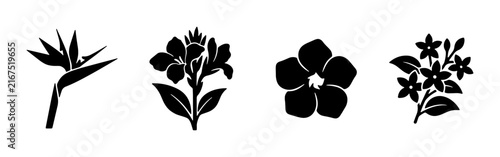 Botanical Silhouettes: Bird of Paradise, Canna Lily, Five-Petal Flower, and Star Jasmine Vector Icons for Nature and Floral Designs