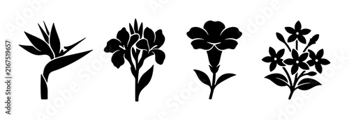 Four Black Silhouette Flower Icons, Tropical Bird of Paradise, Canna Lily, Marigold, Jasmine, Botanical Vector Graphics for Design