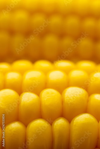 Close-up of yellow corn kernels on the cob