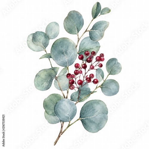 Elegant Eucalyptus and Berry Botanical Illustration