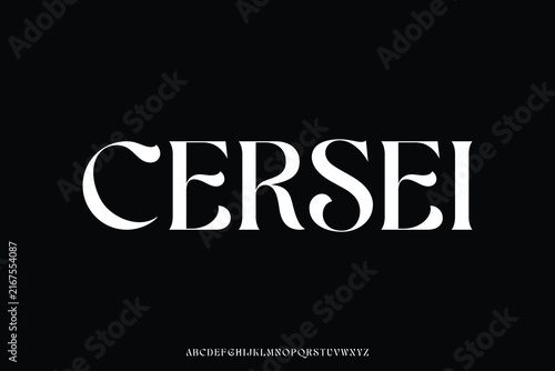 Elegant decorative alphabet display font vector for logo branding design