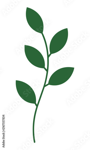 Minimalist botanical sprig with symmetrical ovoid leaves on a single slender stem in a flat geometric style isolated on a white background organic design concept