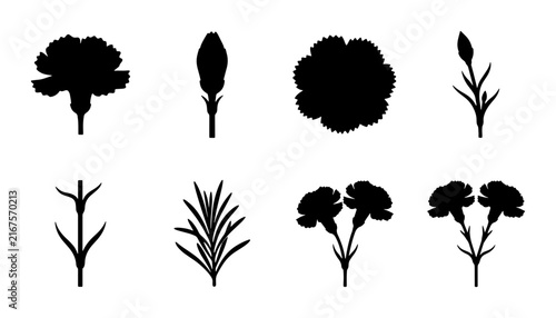 Carnation Flower Silhouettes, Botanical Vector Icons, Floral Elements Collection, Simple Black and White Botanical Graphics for Design