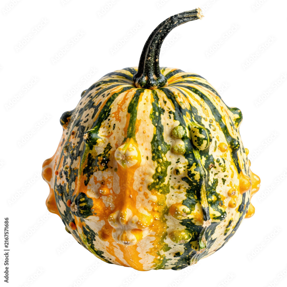 Fototapeta premium Warty ornamental gourd in green and orange with a curved stem, isolated on transparent background