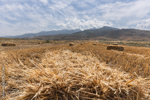  Straw and hay bales on harvested field with mountains .