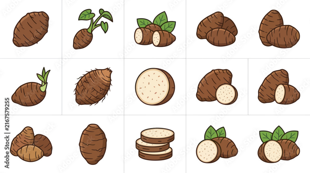 Fototapeta premium Taro root and yam illustration set.