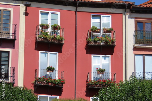 Pink Residential Building Facade with Flowered Balconies