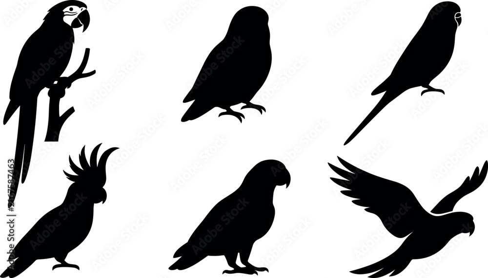 Fototapeta premium Exotic Parrot Silhouette Vector Icon Set Featuring Diverse Avian Species Including Macaw Cockatoo Budgie and Flying Birds for Tropical Nature and Pet Care Designs