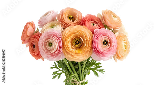 Bouquet of fresh pastel ranunculus flowers isolated on a white background