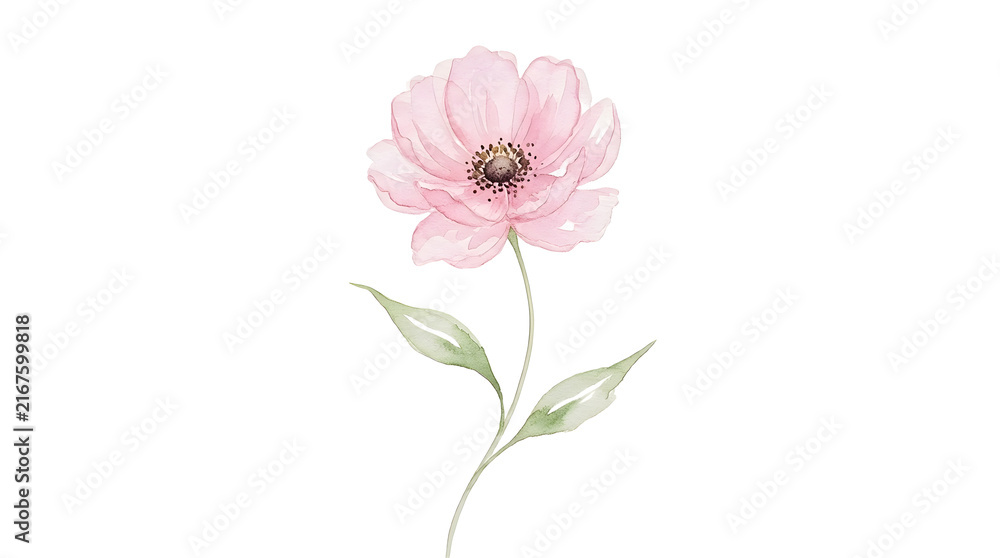 Fototapeta premium Pink watercolor flower illustration isolated on white background for wedding design