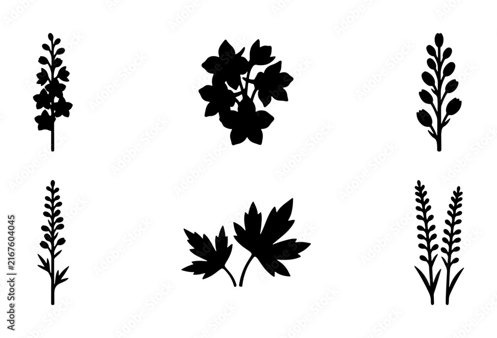 Obraz premium Botanical Silhouettes: Delicate Floral Sprigs and Maple Leaf Icons, Minimalist Vector Elements for Nature Designs