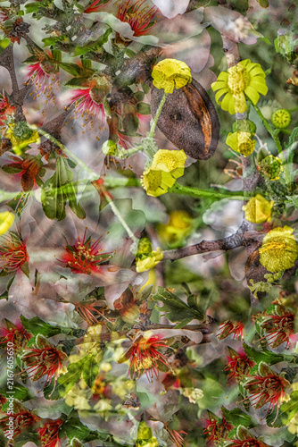 Abstract Multiple Exposure Art Composition of Spring Almond Blossoms and Wildflowers