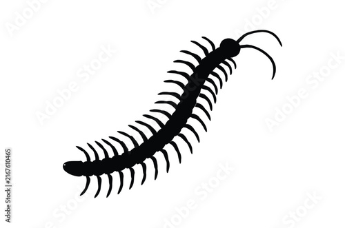 Centipede silhouette vector, Crawling insect black silhouette vector