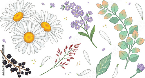 Beautiful Hand Drawn Floral Collection with Daisies, Wildflowers, Green Leaves, Berries, and Botanical Elements for Elegant Wedding and Invitation Designs Vector Illustration