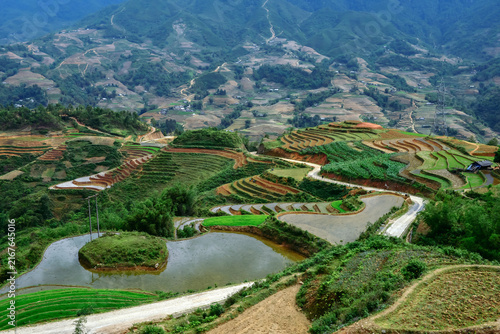 Aerial view of flooded rice terraces, Sapa, Lao Cai Province, Vietnam