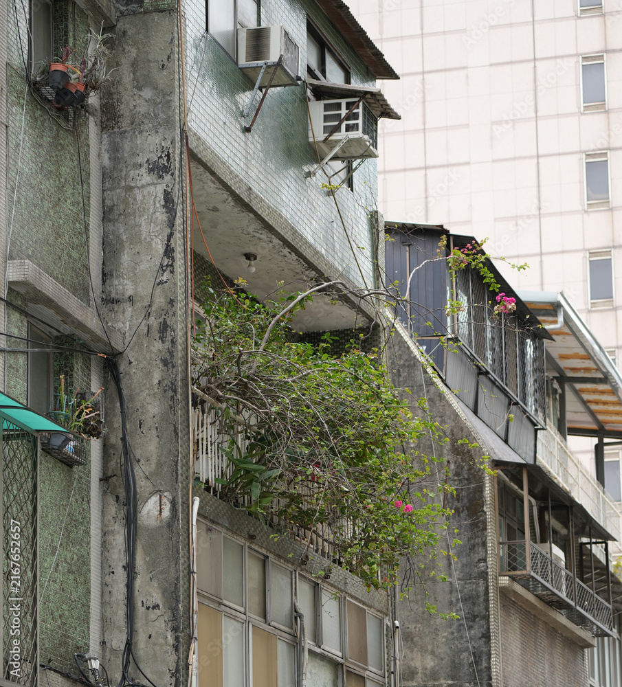 Fototapeta premium Overgrown plants spilling over old building balcony in Taipei, Taiwan