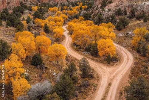 Aerial perspective of a historic road in a desert setting featuring a tree