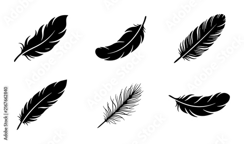 Black Feather Icons, Delicate Quill Vector Set, Elegant Bird Plume Graphics, Minimalist Nature Elements